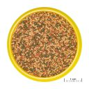 JBL (ДжиБиЭль) Pronovo Bel Grano S - Корм-гранулят для всех аквариумных рыб