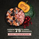 Acana (Акана) Highest Protein, Indoor Cat Recipe - Сухой корм для взрослых домашних кошек, курица, лосось и форель