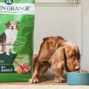 Arden Grange (Арден Гранж) Adult Dog Fresh Lamb & Rice - Сухой корм взрослых собак со свежей ягнятиной и рисом