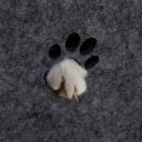 Red Point (Рэд Поинт) Pet House - Войлочный домик-лежак для собак малых пород и котов