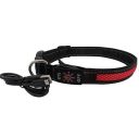 AnimAll (ЭнимАлл) Collar LED - Ошейник светящийся для собак (с подзарядкой USB), 40-50 см