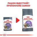 Royal Canin (Роял Канин) Appetite Control Care in Jelly - Консервированный корм для контроля выпрашивания еды у кошек (кусочки в желе)