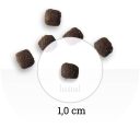 Bon Appetit (Бон Апетит) Adult Sensitive - корм для котів з чутливим травленням з лососем, куркою та рисом