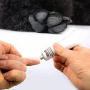 Beaphar (Беафар) Feet Balsam Защитный бальзам для подушечек лап собак