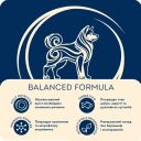Home Food (Хом Фуд) Nutritive Balanced Formula - Сухой корм для взрослых собак малых пород (мясное ассорти)