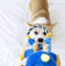 Petstages (Петстейджес) The Dragon Игрушка "Дракон" для собак