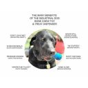 SodaPup (Сода Пап) Chew Bone Treat Dispenser – Жевательная игрушка Трубка для собак