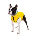 Collar (Коллар) AiryVest Colors of Freedom двусторонняя курточка для собак, синий-желтый