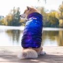 Collar (Коллар) Waudog Clothes курточка для собак, рисунок "NASA21"
