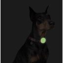 Collar (Коллар) Waudog Silicone Airtag - Чехол для ошейников и шлей, светонакопительный