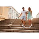 Collar Waudog Круглая рулетка, XS-M, до 40 кг, 2,9 м, светоотражающая лента