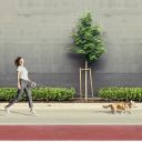 Collar Waudog Круглая рулетка, XS-M, до 40 кг, 2,9 м, светоотражающая лента