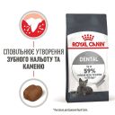 Royal Canin (Роял Канин) Dental Care - Сухой корм для котов с птицей для предотвращения зубного налета