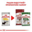 Royal Canin (Роял Канин) Dermacomfort Loaf - Консервированный корм для собак разных размеров с чувствительной кожей, склонной к раздражениям