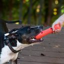 Dexas (Дексас) Off-Leash Tumbler Гантель с карабином для собак