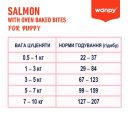Wanpy (Ванпи) Puppy Grain Free Salmon - Сухой беззерновой корм для щенков (лосось)