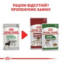 Royal Canin (Роял Канин) Digestive Care Loaf - Консервированный корм для собак с чувствительной пищеварительной системой