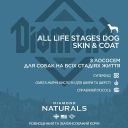 Diamond Naturals (Даймонд Нейчерс ) All Life Stages Dog Skin&Coat - Сухой корм для собак всех пород на всех стадиях жизни (с лососем)