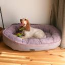 Harley & Cho (Харли энд Чо) Donut Pink овальный лежак для собак (розовый)