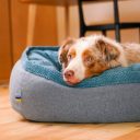 Harley & Cho (Харли энд Чо) Donut Ocean овальный лежак для собак (голубой)