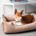 Harley & Cho (Харли энд Чо) Dreamer Biege Velour лежак для кошек и собак (бежевый)