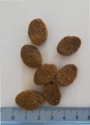 ENOVA (Энова) Lifetime Ageing - Сухой корм для взрослых собак всех пород старше 7 лет или с избыточным весом (курица)