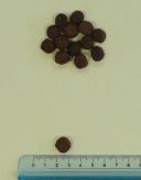 ENOVA (Энова) Lifetime Growing - Сухой корм для щенков всех пород и собак в период беременности и лактации (курица)