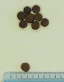 ENOVA (Энова) MONO Chicken - Сухой корм для взрослых собак всех пород (курица)