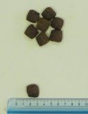 ENOVA (Энова) MONO Lamb - Сухой корм для взрослых собак всех пород (ягненок)