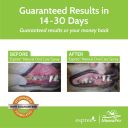 Espree (Эспри) Oral Care 3 in 1 Brush - Щетка для ухода за зубами и полостью рта собак 3 в 1