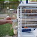 Ferplast (Ферпласт) Cage Barn 80 Gray - Клетка для кролика, 78x48x65 см (серый металл)