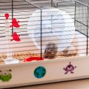 Ferplast (Ферпласт) Cage Criceti 9 Space Black клетка для хомяка, 46x29,5x23 см (черный металл)