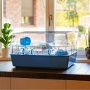 Ferplast (Ферпласт) Cage Duna Fun Large клітка для хом'яка з дахом, що відкривається, 71,5x46x41 см