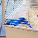 Ferplast (Ферпласт) Cage Furet Tower Gray - Клетка для хорьков на колесах, 75x80x161 см (серый металл)