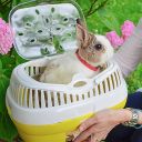 Ferplast (Ферпласт) Carrier Aladino Large переноска для мелких животных, 36x26x23 см