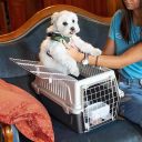 Ferplast (Ферпласт) Carrier Atlas 10 Open переноска для собак и котов до 5 кг, 32,5x48x29 см