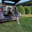 Ferplast (Ферпласт) Carrier Atlas 70 Professional переноска для крупных собак до 60 кг IATA, 68,5x101x75,5 см (серый)