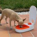 Ferplast (Ферпласт) Cometa Bowl автоматическая кормушка с таймером для кошек и маленьких собак, 13,2x23,7x7,5 см