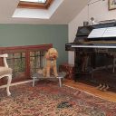 Ferplast (Ферпласт) Dream Grey раскладушка-лежак для собак (серый)