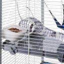 Ferplast (Ферпласт) Cage Furat Extra Large клетка для хорьков, 80x75x86,5 см (серый металл)