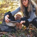 Ferplast (Ферпласт) Kangoo L Grey Backpack рюкзак-переноска для собак мелких пород, 41,5x20x43 см (серый)