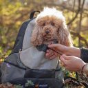 Ferplast (Ферпласт) Kangoo L Grey Backpack рюкзак-переноска для собак мелких пород, 41,5x20x43 см (серый)