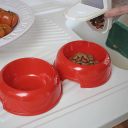 Ferplast (Ферпласт) Lindo Maxi Tray & Bowls миски на пластиковой подставке с защитой против скольжения