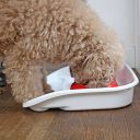 Ferplast (Ферпласт) Lindo Maxi Tray & Bowls миски на пластиковой подставке с защитой против скольжения