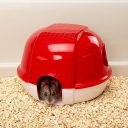 Ferplast (Ферпласт) Cage Maxi Duna Multy клетка для средних грызунов с открывающейся крышей, 99x51,5x36 см