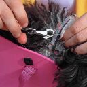 Ferplast (Ферпласт) With-Me Bag Black сумка-переноска для собак мелких пород и кошек (черный)