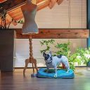 Ferplast (Ферпласт) Polo Cushion Blue подушка из влагостойкой ткани для собак (голубой)