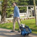 Ferplast (Ферпласт) Trolley сумка-переноска для мелких кошек и собак, 32x28x51 см