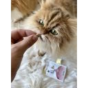 GimCat (Джимкет) Every Day Malt Tabs - Витаминизированные лакомства для котов для вывода комков шерсти