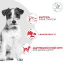 Royal Canin (Роял Канин) Glycobalance (Глюкобаланс) Small Dog - Сухой лечебный корм при сахарном диабете у собак мелких пород